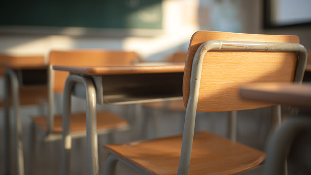 More students and diversity in schools but there are inequalities in outcomes