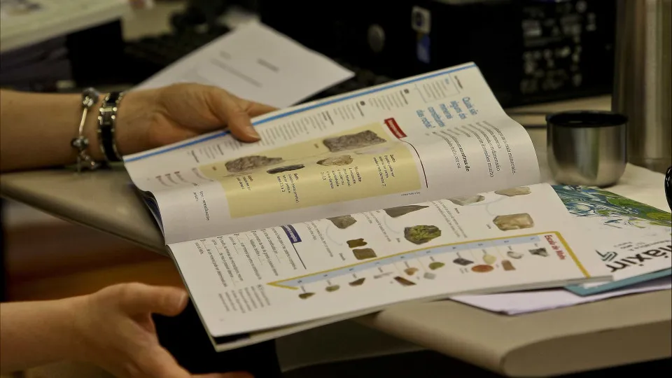 Most schools have not yet organized the new Citizenship discipline.