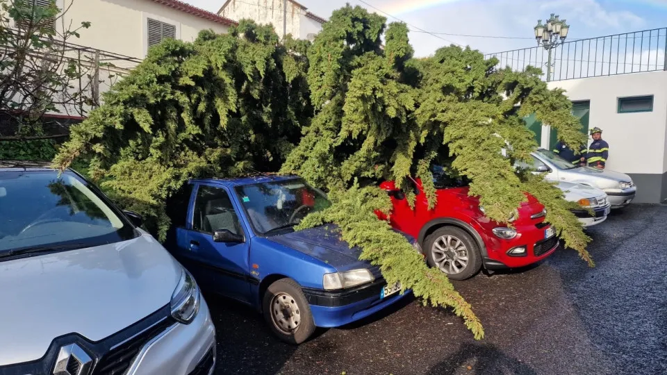Passed and caused damage! See the images of depression Emília in Madeira