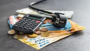 Portuguese want clearer invoices and support against energy poverty