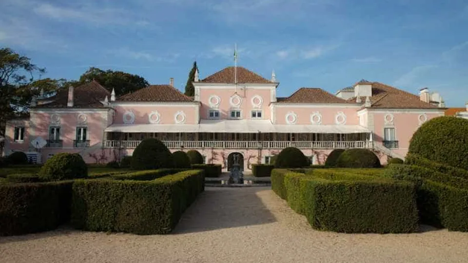 Presidential? From the record number of candidates to unpredictability