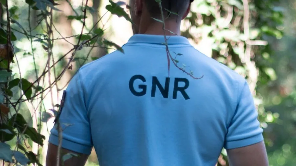 Preventive detention for suspect of six thefts and one robbery in the municipality of Almada