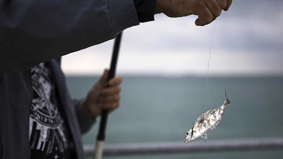 Searches for the three missing fishermen in Caminha suspended