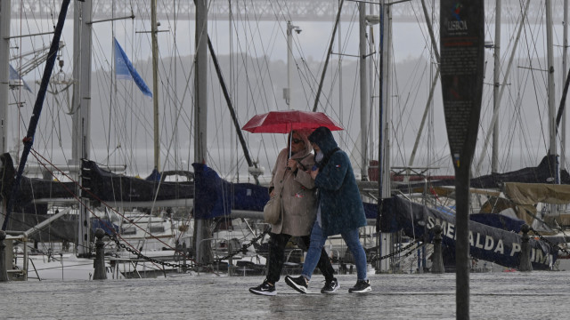 Snow is back. Do you know the precautions to take? Remember them.