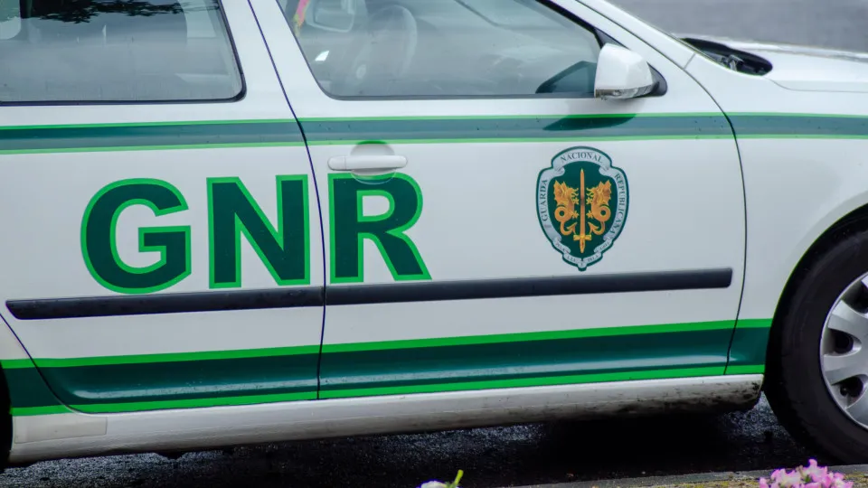 Suspect of drug trafficking in Mealhada is placed in preventive detention