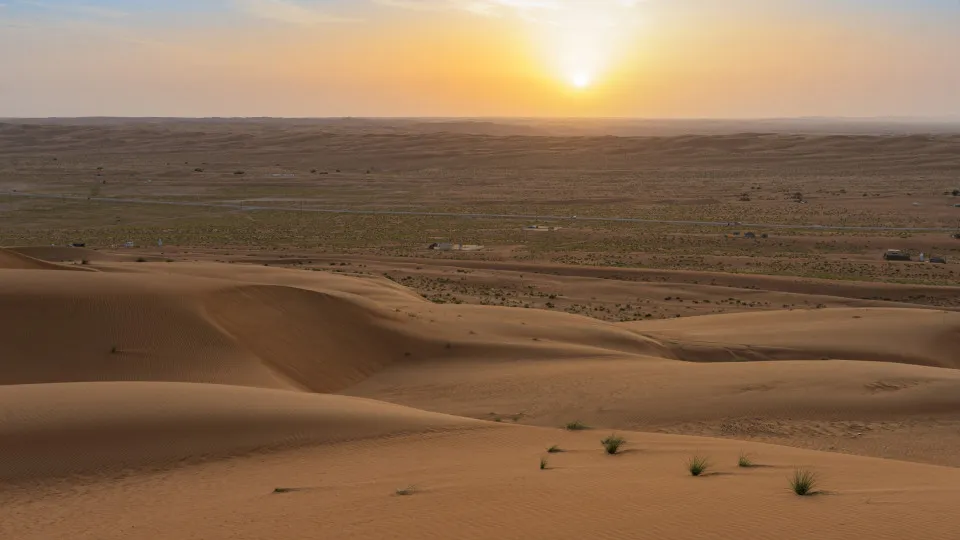 Team led by UAlg researcher pioneers in discovery in the desert