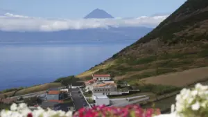 Ten social institutions in the Azores will not pay the Christmas subsidy