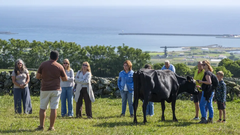 Tourism Confederation says that the sector is entering sustainable growth.