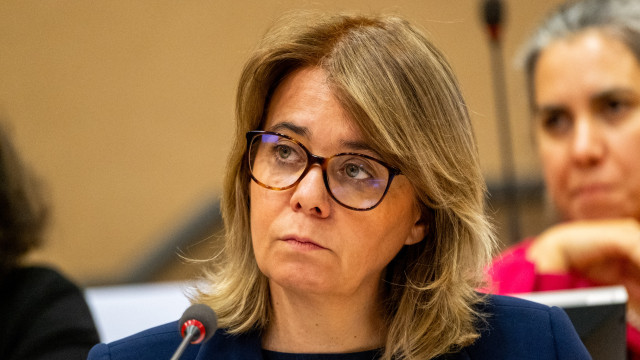 "Unsettled" or "defeat"? The reactions to the veto of the Nationality Law