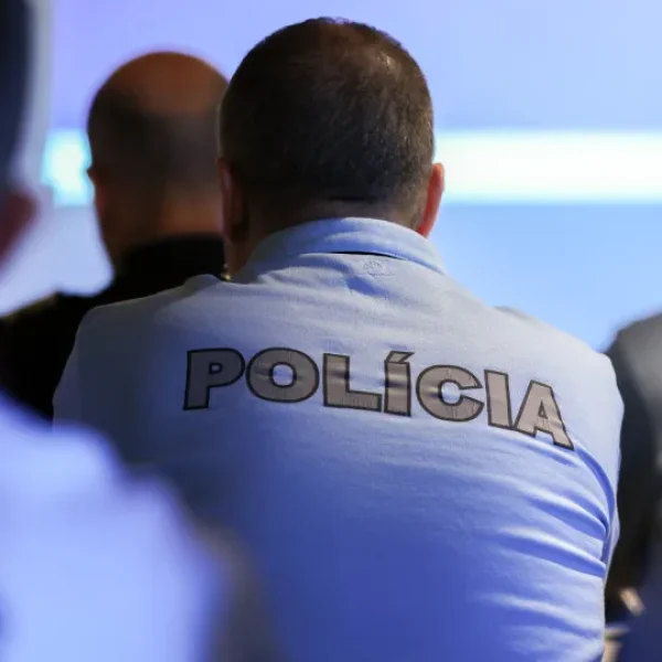 Agents called to prevent aggression from son to mother end up assaulted