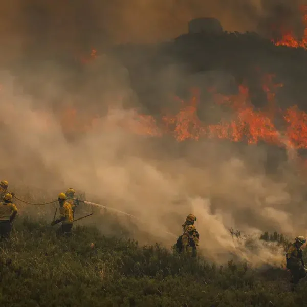 Approximately 80% of the fire burning in the Alvão mountains has been brought under control.