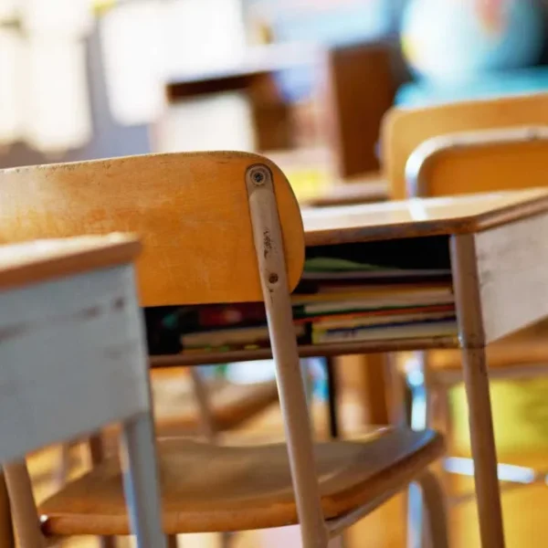 Around 19 thousand teachers placed in schools in the next school year