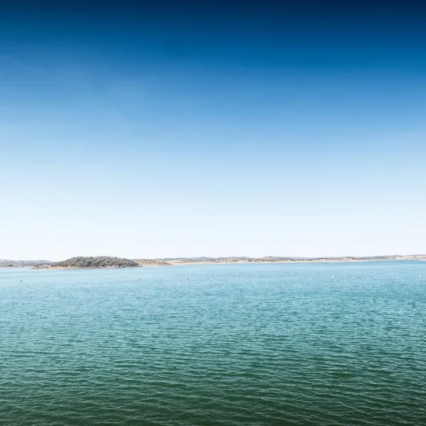 Associations with assurance that Government maintains Alqueva water price