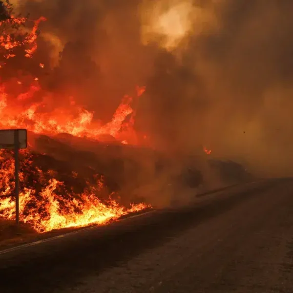 Beira Baixa Line, A23 and EN18 are closed due to fires.