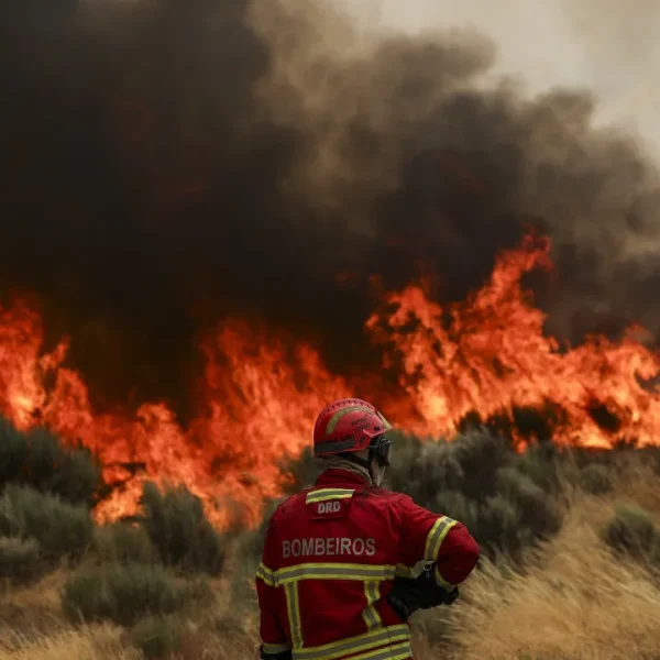 Burnt area in Chaves is already around 5,000 hectares