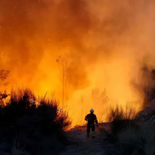 Civil protection: Fire in Ponte da Barca no longer threatens homes