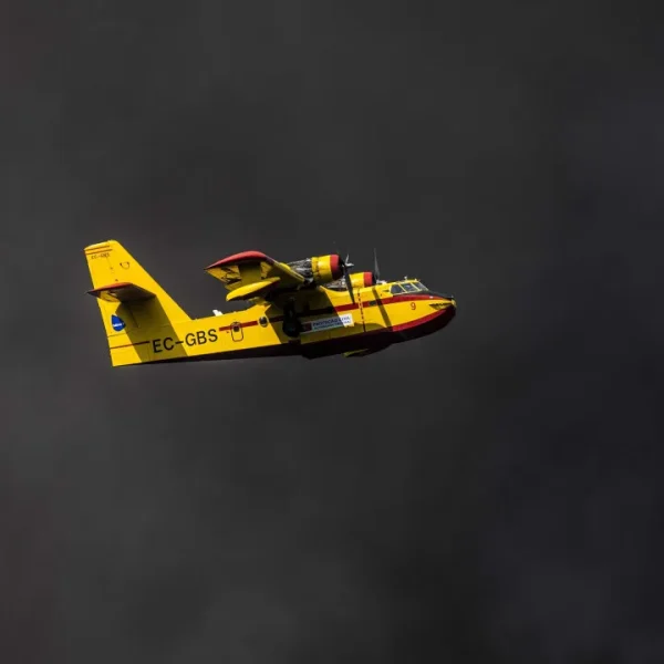 Company operating 'Canadair' says it is working to replace the 2 planes