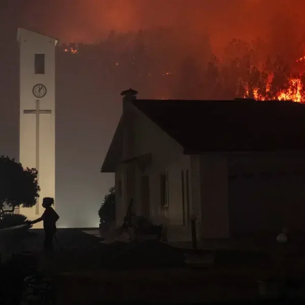 Farmers from Mirandela affected by the fire ask the Government for help.