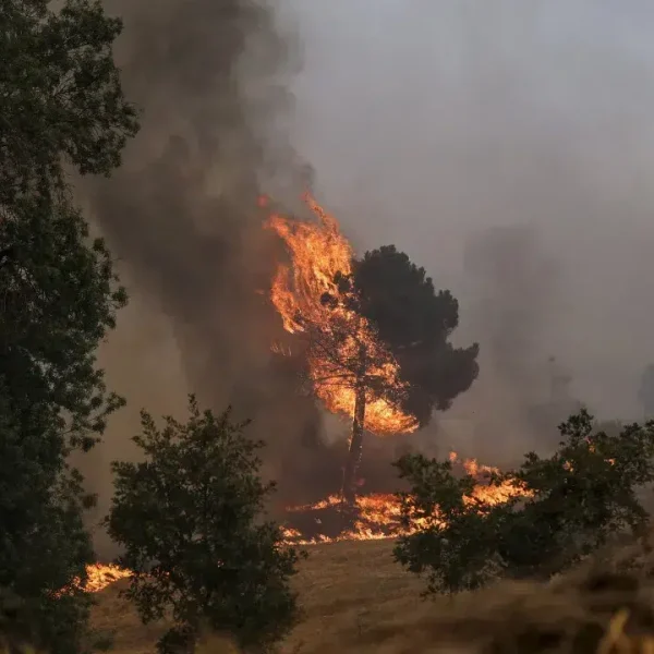 Fire burning in Portalegre and Castelo de Vide has three active fronts