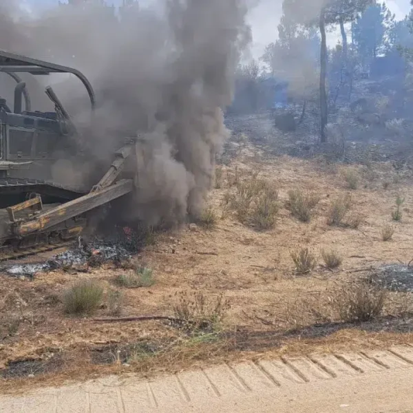 Fire causes losses of 3.8 million in Freixo de Espada à Cinta