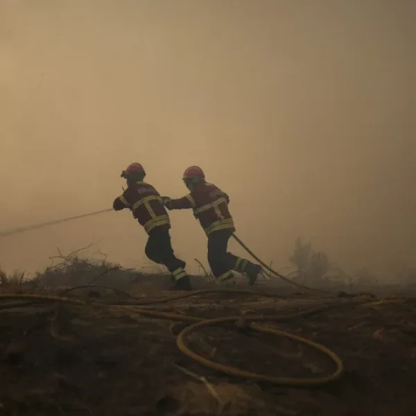 Fire in the International Douro left shepherds without food for the cattle