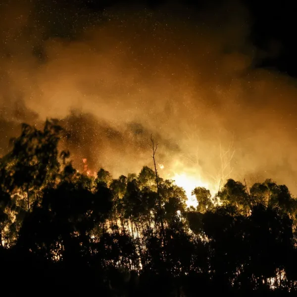 Fire near the village of Relva in Vila Real