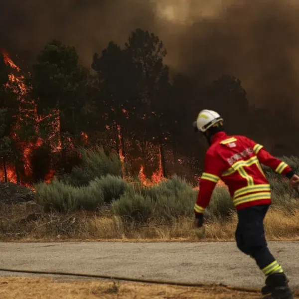 Fire rages intensely in Almeida due to the wind.