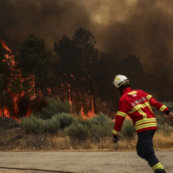 Fire tornado recorded in Aguiar da Beira fire. There is a video.