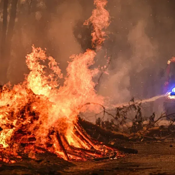 Fires? 36 people caught red-handed this year. Data from GNR