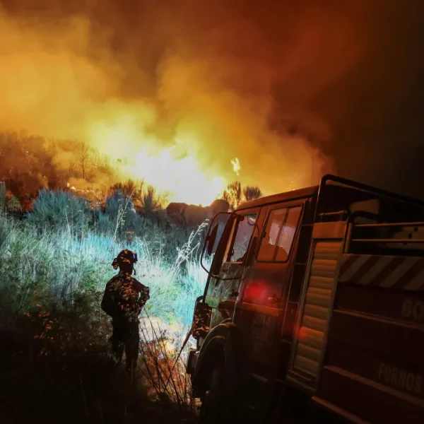 Fires? Coimbra Business Association wants an audit of the funds