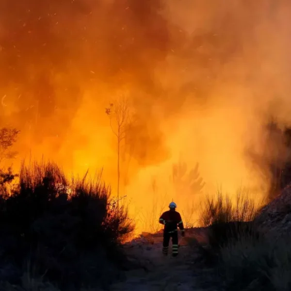 Fires of 2025 devastated the second highest burned area since 2015