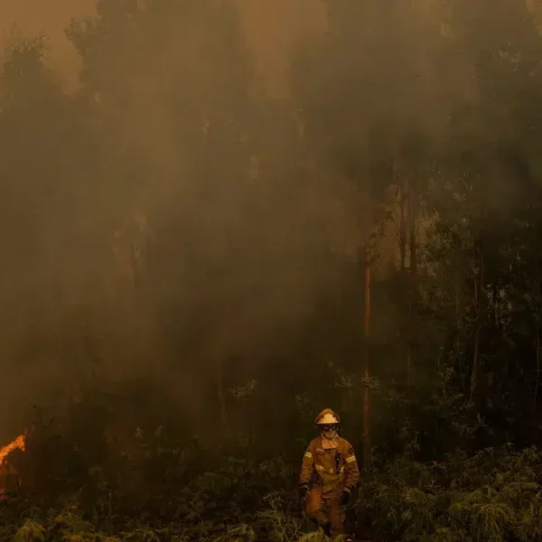 Fires? Residents of Galegos attentive to reactivations in the Alvão mountain range