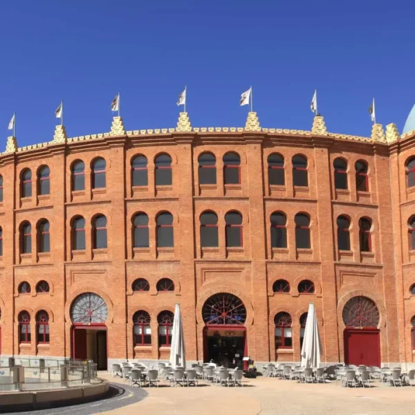 Forcado from São Manços dies after being gored at Campo Pequeno