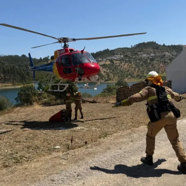 GNR helicopter team discovers cannabis greenhouse on the way to fire