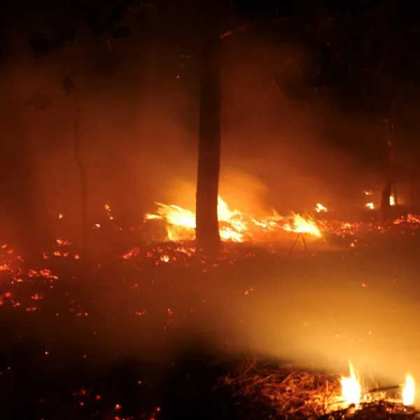 Government admits increased penalties for fires