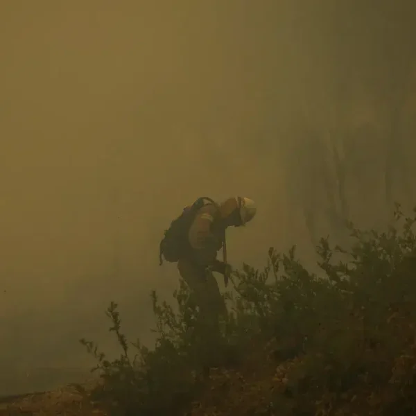 Government approves reinforcement of health care in fire-affected areas