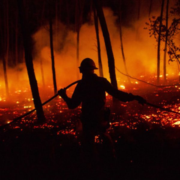 "May 2025 be the last year in which fires were not planned or prevented"