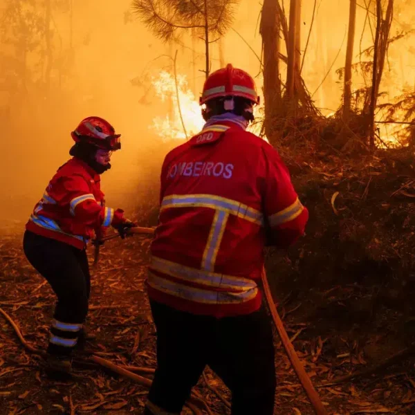 Moimenta da Beira. More than 400 firefighters battle flames in three villages