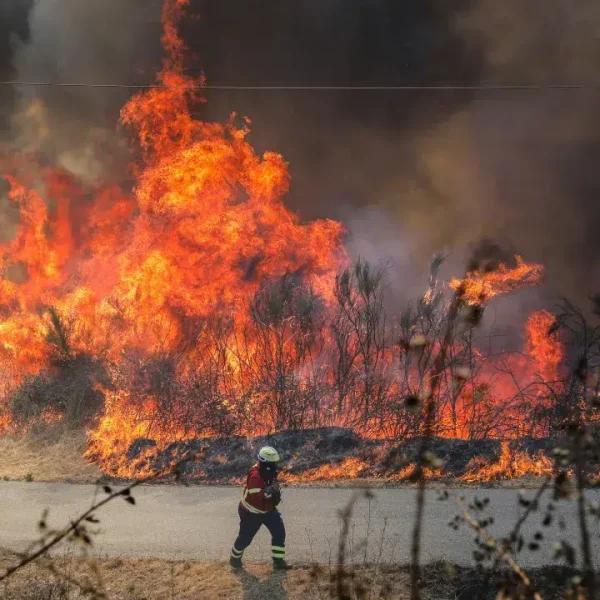More than 1,600 operatives were fighting the 2 main fires at 12:30 AM