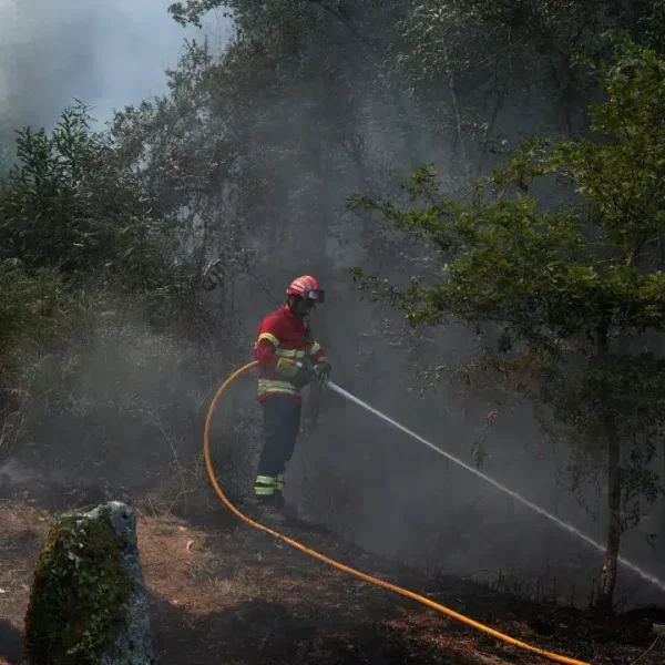 More than 40 fires in Portugal fought by 1,880 personnel at 9:00 p.m.