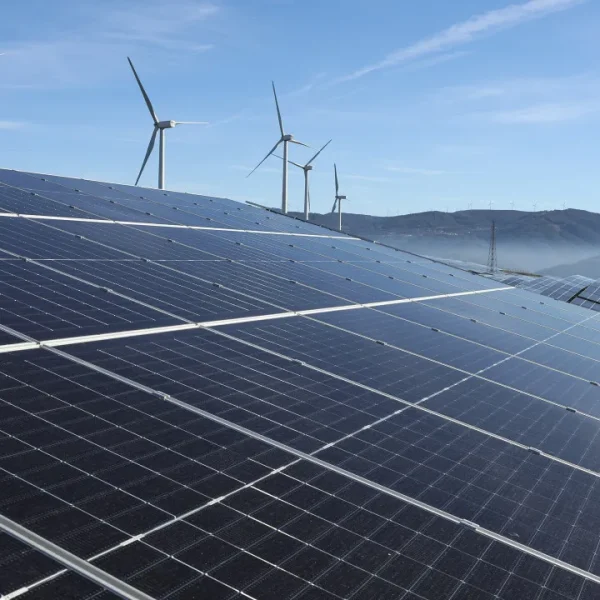 Renewables ensure more than 70% of the electricity produced in July