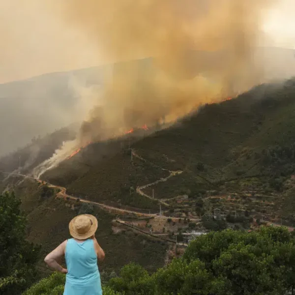 Seia already counts six second homes destroyed