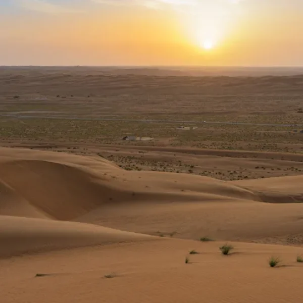 Team led by UAlg researcher pioneers in discovery in the desert