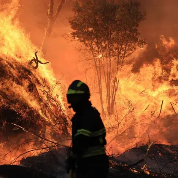 The government estimates the extraordinary expenses of firefighters at 20 million.