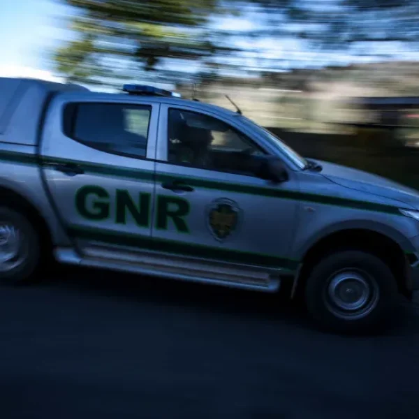 Three detained and 1,500 doses of drugs seized in the Beja region