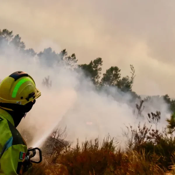 Two fronts burning intensely in the fire that broke out in Sabrosa